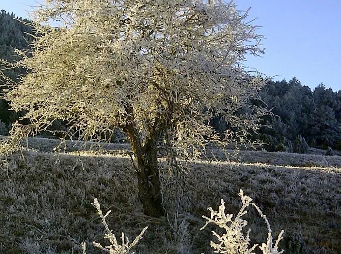 Valdesqui Apartamento