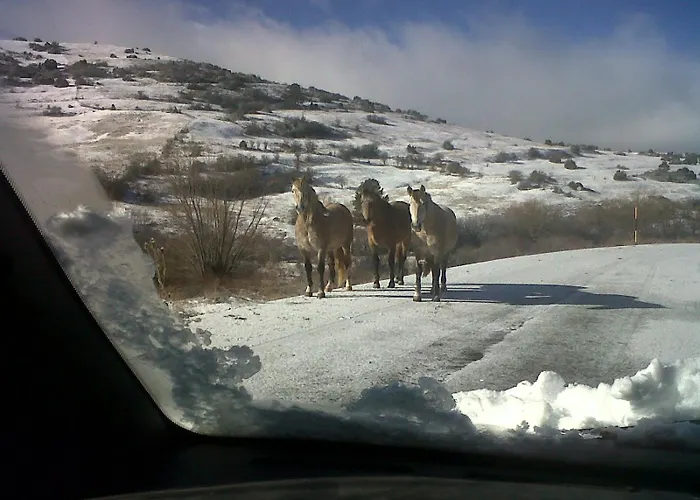 Valdesqui Apartamento *